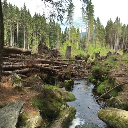 Moldau Park Lipno 3*