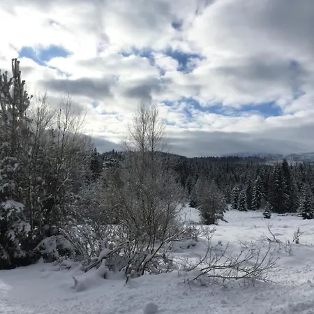 Moldau Park Lipno