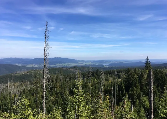 Moldau Park Lipno
