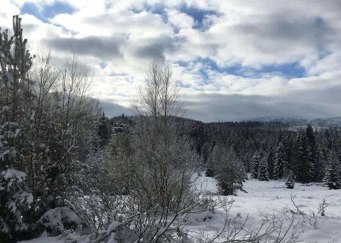 Moldau Park Lipno
