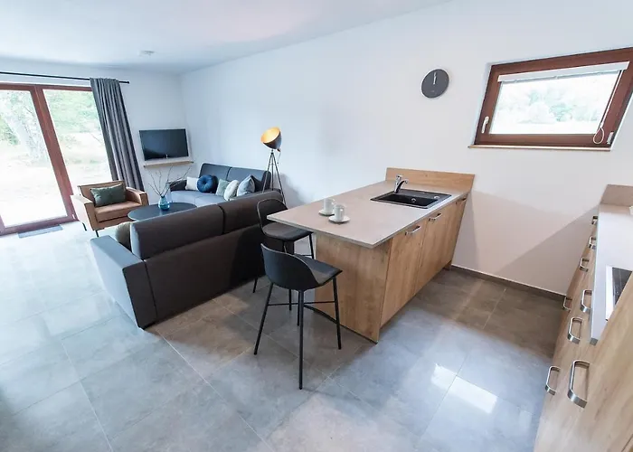 Appart hôtel Moldau Park Lipno 3*