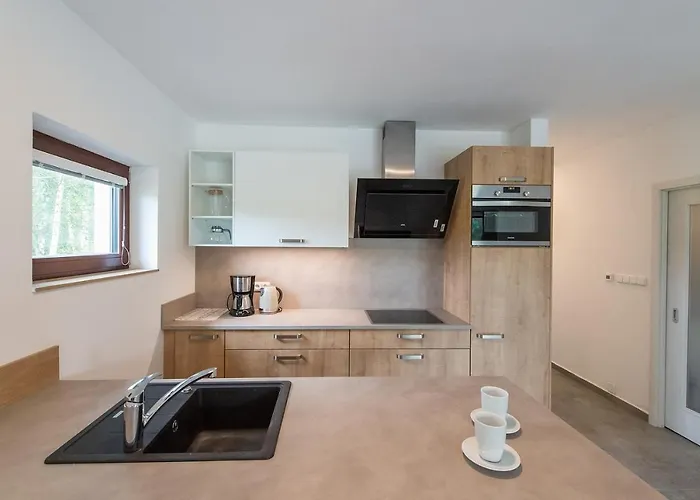 Moldau Park Lipno Appart hôtel 3*